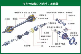 史上最全汽車零部件圖，想要學(xué)習(xí)和投資的請(qǐng)收藏